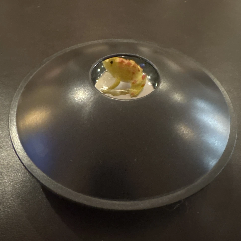 3D Frosch Miraskop Hologramm Optische Täuschung Magic Parabolic Sens 6" 3D Miraskop