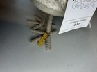 Christmas Wondershop Target Birds Set of 4, 2023 Bay Brook Crinkle & Ginger — photo 7
