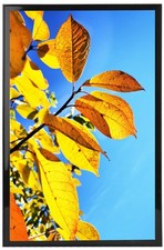 12x18 Poster Frame, Studio Gallery 12x18 Picture Frames, For Wall Collage Pho...