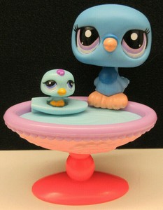 pigeon and bird pet shop