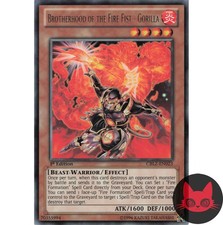 Yugioh Bruderschaft der Feuerfaust - Gorilla CBLZ-DE023 Rare 1. Auflage NM