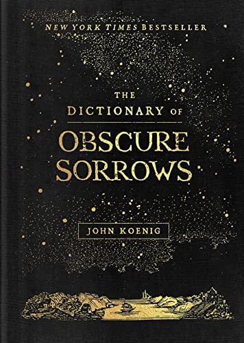 The Dictionary of Obscure Sorrows - Image 8