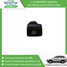 Lunette arrière Hyundai SANTA FE