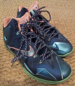 lebron shoes 2013