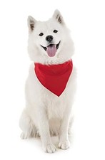 Dog Plain Bandanas - 2 Pack - Scarf Triangle Bibs for Small, Medium and Red