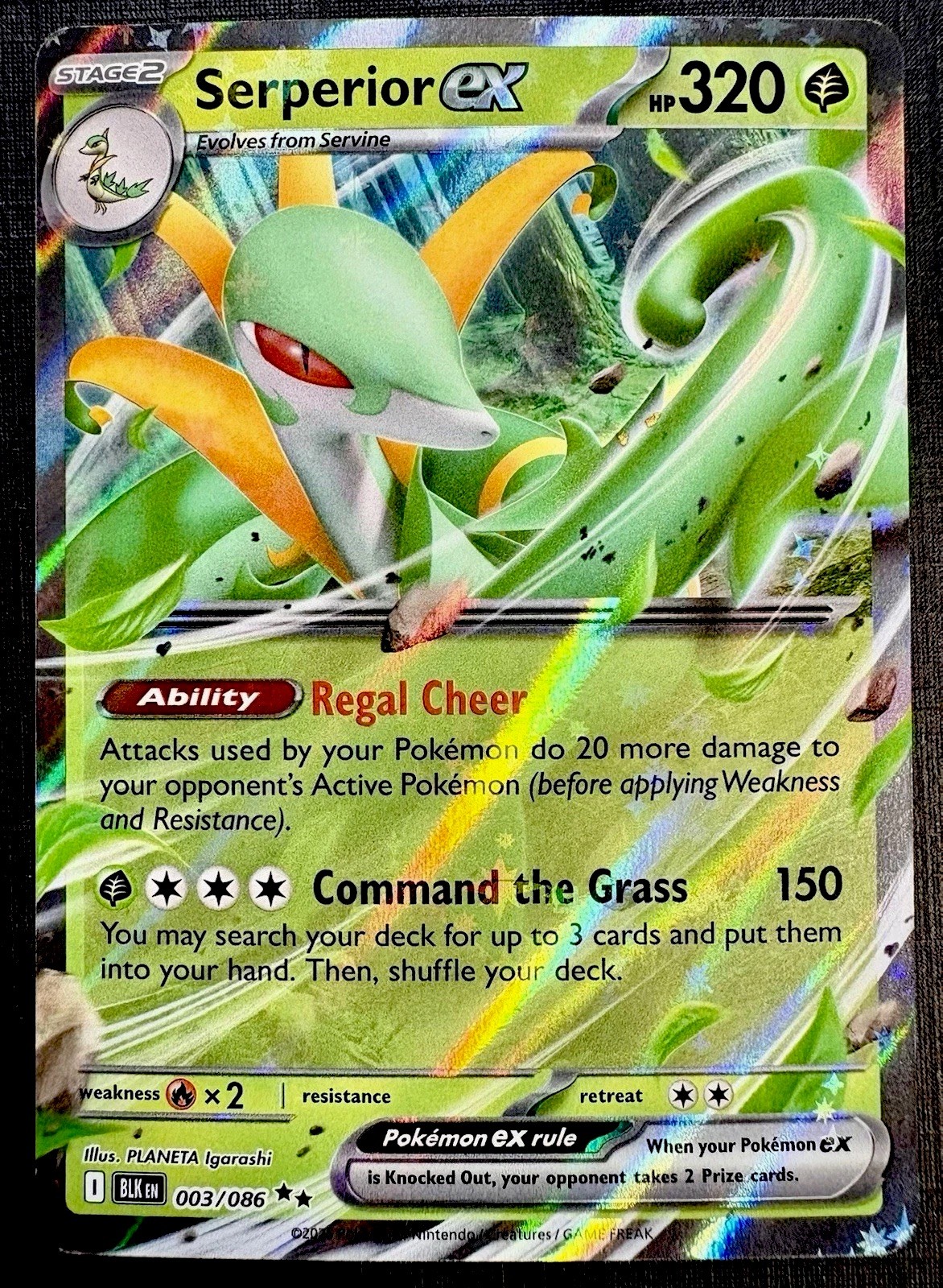 Serperior Ex 3/86 - Black Bolt - DOUBLE RARE HOLO - 2025 Pokemon TCG
