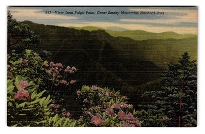 Vintage Linen Postcard View from Pulpit Point Great Smoky Mountains