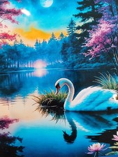Stamped Cross Stitch Swan Lake 14ct 40x40cm 25 Colors Project Bag