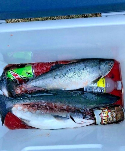 SALMON JIG 5/8oz B2 HUMPY PINK CUSTOM LURE EAGLE CLAW HOOKS WA, OR, CA, AK, CAN - Picture 9 of 11