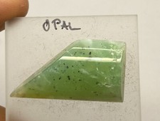 OPAL Freeform (11.66 cts.) Opal Cabochon