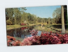 Postcard Lagoon at Beauvoir Jefferson Davis Shrine Biloxi Mississippi USA