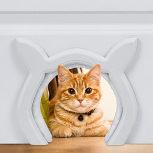 automatic cat door collar