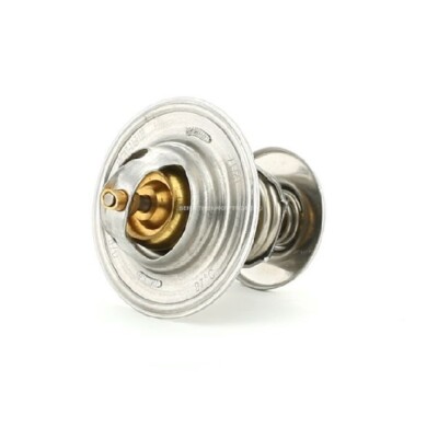 Thermostat - BEHR TX 476 87 D
