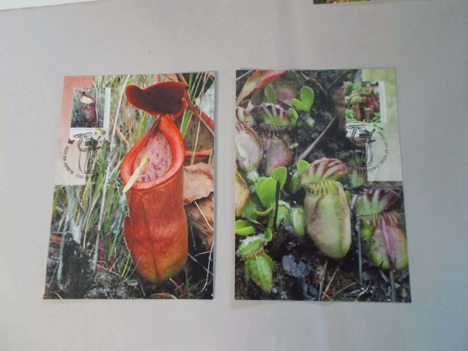 Picture 2 of 6