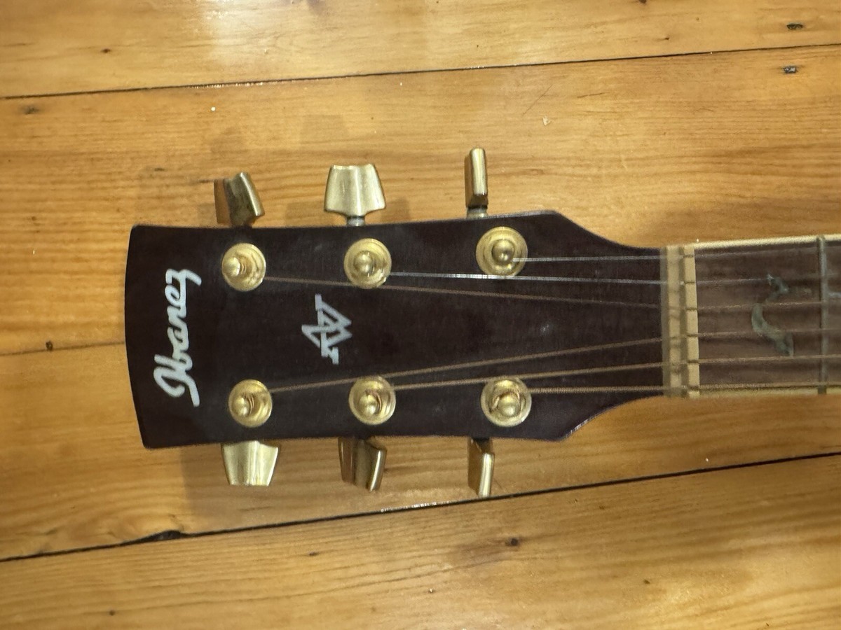 RARE Ibanez AW40-NT Artwood Acoustic Guitar w/ Tree Of Life Vine