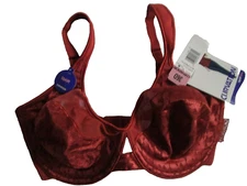 Curvation Uplift Bra Autumn Spice Orange Underwire Semi-Sheer #5304555 Size 36D