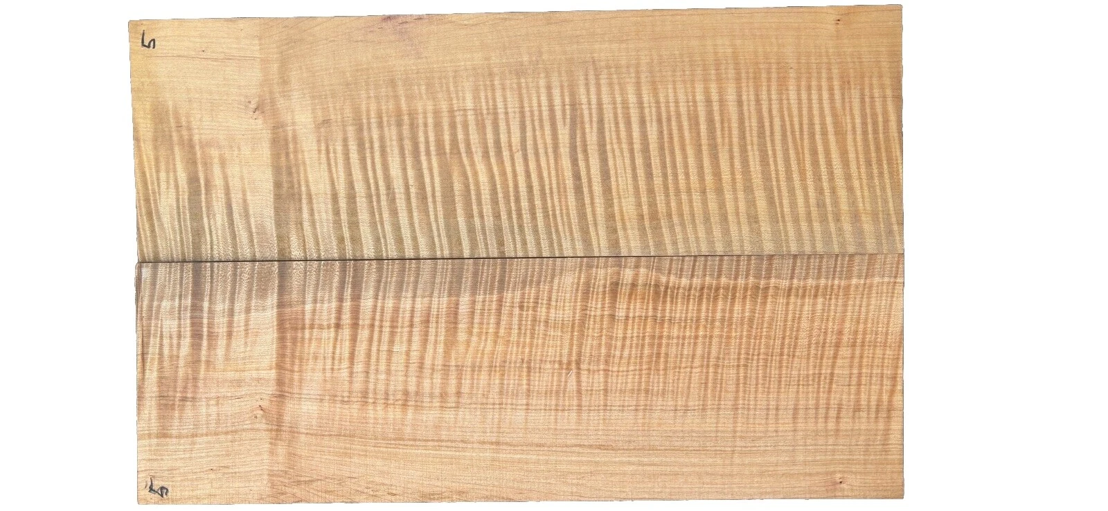 Maple Acoustic Guitar Guitar Building & Luthier Supplies