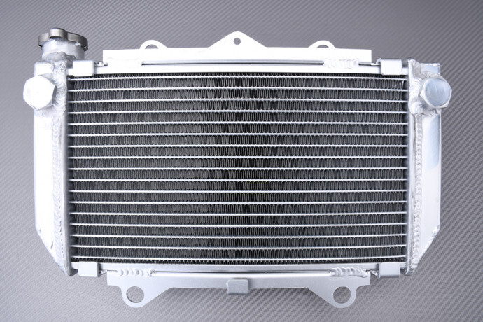 Radiateur d'eau Racing YAMAHA RAPTOR 450 anti-surchauffe pour l'enduro extrême