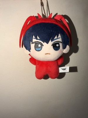 Blue Lock Yoichi Isagi Chibigurumi Mini Plüschtier Tier Kostüm Hummeragi