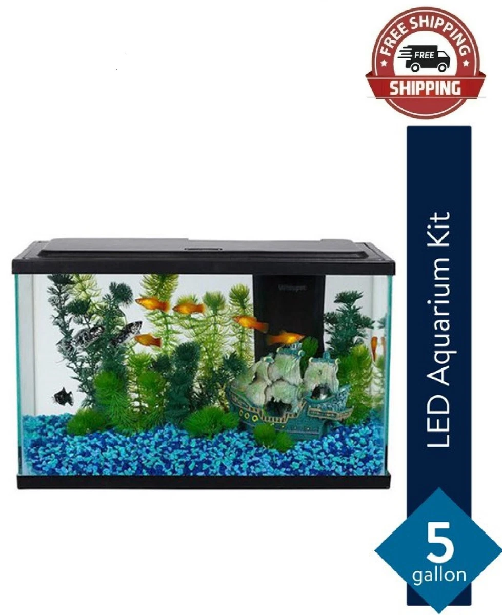 Aqua Culture 20Gallon Glass Aquarium Starter Kit With LED