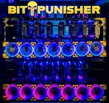 Crypto Mining Consultation GPU ASIC RTX 5090 BTC Bitcoin Alt Coins BITPUNISHER