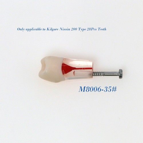 Bloques de estudio de ECA modelo de dientes de práctica de conducto radicular dental para Nissin Kilgore 200 - Imagen 67 de 90