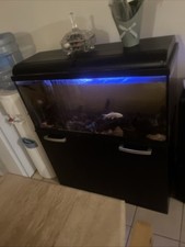 Fish Tank Aquarium Complete URGENT SALE