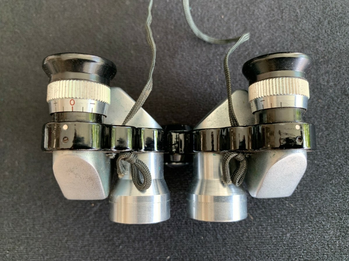 Vintage Plum Opera Glasses Binoculars 6x15 Field 7° No
