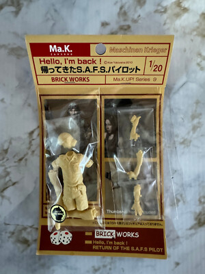 Hello I'm Back SAFS Pilot Maschinen Krieger 1/20 Brick Works Ma.k