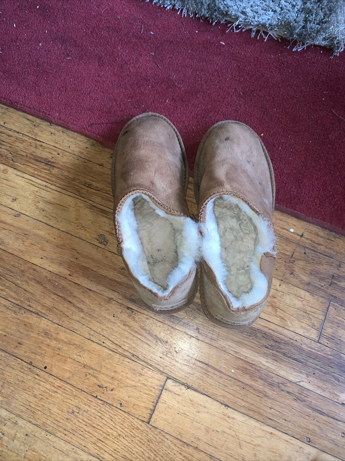 mocassini da donna ugg 8 5