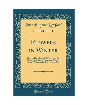 Flowers in Winter: How to Have Beautiful Flowers in the House; One Pot of Gerani