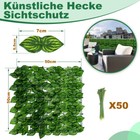 Bild 7 von 10