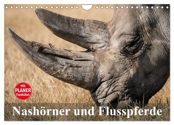 Elisabeth Stanzer | NashöRner Und Flusspferde (Wandkalender 2026 DIN A4...-image