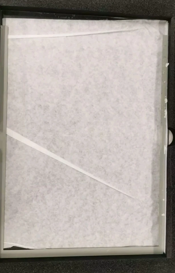 Glas für EPSON Expression 10000xl 11000xl 12000xl Scanner