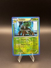 Most Expensive Pokemon Plasma Storm Pokemon Cards