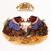 Matching Mole - Vinyl Record Coloured Vinyl - F600Z