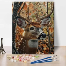 Paint by Numbers Kit DIY Canvas Painting Set for Adults Kids Home Decor Gift DIY