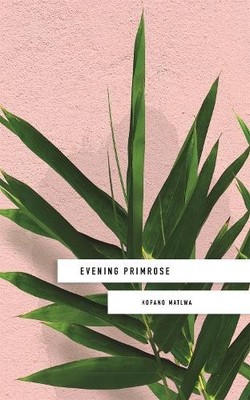 Evening Primrose: a heart-wrenching novel for our times by Ko... - 9781473662285