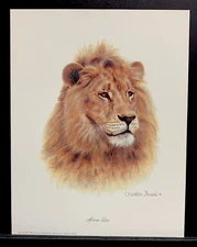 Charles Frace Open Edition Print “African Lion”