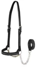 Derby Show Spotted Flat Leather Cattle Show Halter with Matching Chain Lead