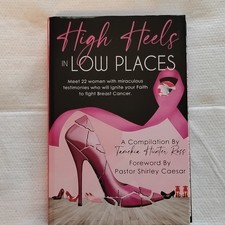 Rain Publishing High Heels in Low Places Hardcover Breast Cancer Faith Ross