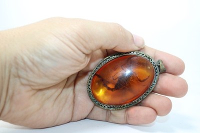 Rare Ancient Egyptian Amber Stone King Scorpion Pendant Handmade Necklace
