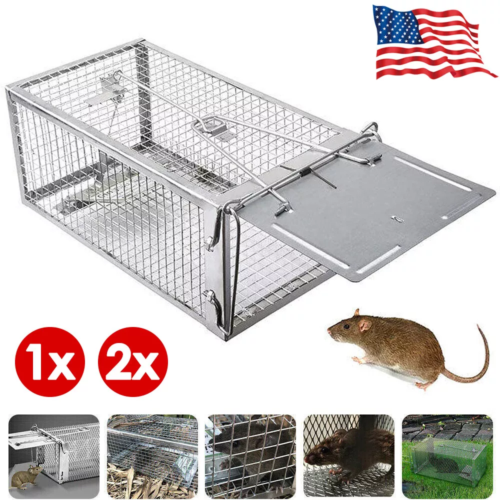 Kensizer 2 Pack Humane Rat Trap, Chipmunk Mouse Rodent Trap That Work for  Indoor and Outdoor Small Animal - Catch and Release (Small)