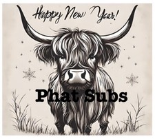 20oz Sublimation Tumbler Wrap New Year Highland Ready to Press Heat Transfer