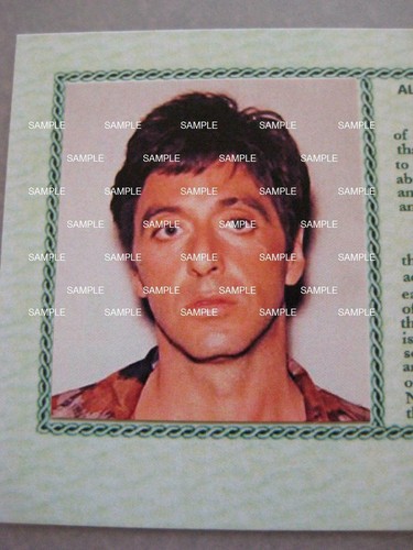 Scarface Tony Montana Green Card (Bildschirmgenau) - Bild 4 von 4