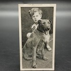 1936 Carreras Dog & Friends #7 Irish Terrier Tobacco Cigarette Photo Card