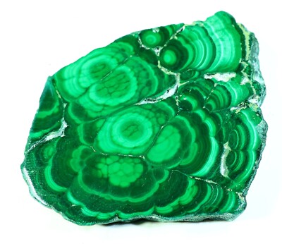 268 CT NATURAL FLOWER PLUME MALACHITE POLISH SLAB TILE UNTREATED GEMSTONE MJ-265