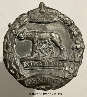 RSI Va COMPAGNIA STUDENT VOLUNTEERS ZONE PONTINA ROME DOMA BADGE IN ZAMA