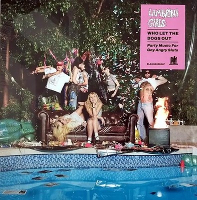 Lambrini Girls Who Let The Dogs Out NEAR MINT City Slang Vinyl LP