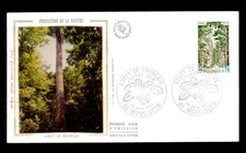FA 16 - PJ Foret de Tronçais - 03 Montluçon - 19-06-76